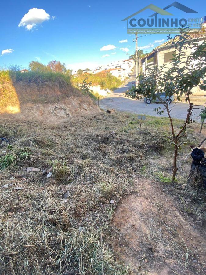 WhatsApp Image 2025-05-29 at 08.34.55.jpeg